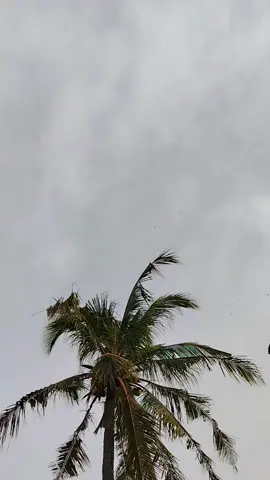 kreuh doa gob lom uronyoe🤭☹️ #hanacara  #fyp #geulayangtunang #pidie #acehviral 