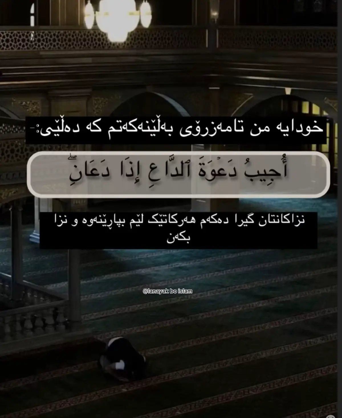#fyp #allah❤️ #explore #اللهم_صلي_على_نبينا_محمد #views 