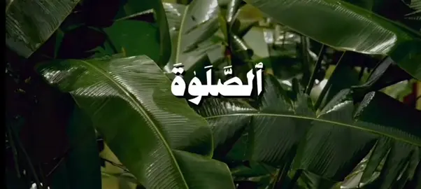 جزء 85 | { وَلَا يَأْتُونَ الصَّلَاةَ إِلَّا وَهُمْ كُسَالَى وَلَا يُنْفِقُونَ إِلَّا وَهُمْ كَارِهُونَ } [سُورَةُ التَّوْبَةِ: ٥٤] القارى: علي جابر 189 . . . #قرآن #quran #قران_كريم #علي_جابر #علي_جابر_رحمه_الله 