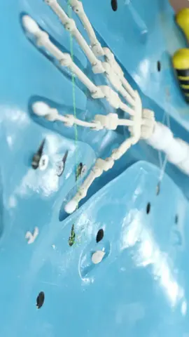 제목: 중국 하이테크 인형 공장: 제조 과정 밀착 취재 ​설명:  채널에 오신 것을 환영합니다. ​이번 영상에서는 중국 '둥관 첸유 실리콘 기술 유한회사(Dongguan Qianyou Silicone Technology Co., Ltd.)'를 방문하여, 하이테크 인형이 만들어지는 놀라운 전 과정을 밀착 취재했습니다. ​AI와 3D 모델링을 이용한 정교한 디자인부터, 인체의 움직임을 재현하는 스켈레톤 제작, 백금 실리콘 주입, 그리고 장인의 손길로 완성되는 모세혈관과 피부 결 표현, 극사실적인 메이크업과 모발 이식까지. ​이것은 단순한 인형을 넘어, 중국의 장인정신과 최첨단 기술이 '친밀함'이라는 가치를 어떻게 새롭게 정의하고 있는지 보여주는 기적의 공정입니다. ​해시태그: #실리콘인형 #제조과정 #중국공장 #장인정신 #리얼돌 #AI기술 #3D모델링 #MiracleProcess #인형제작 #메이크업 #공정 #중국기술 