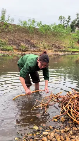 @09-88-110-126#thaoduocthiennhien #xuhuongthinhhanh #bothantrangduong #danong #hoangkynam 