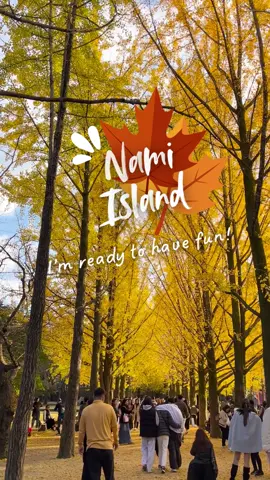 Nami Island’s basically a live K-drama set with golden leaves, soft breeze, and all the cozy feels 💛 Go take your main character walk 🍂 👉 Full guide: https://www.ivisitkorea.com/nami-island-things-to-do-how-to-get-there/  #IVisitKorea #NamiIsland #KDramaLife #AutumnInKorea