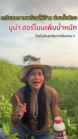 #ชาวนาไทย🌾🌾 #ชาวไร่อ้อยและมันสําปะหรัง🎋🌴🍃🥔 #ชาวไร่ข้าวโพด🌽🌽 #ฮอร์โมนโมนเร่งแป้งเร่งน้ําหนัก #ใช้ดีบอกต่อจ้าา👍 