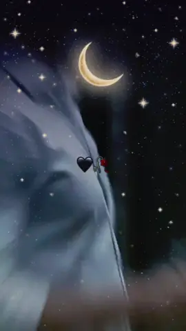 #vpsaraduterte #🌹🖤👈 #viralvideostiktoks #🌹🖤👌 #viralllllll 