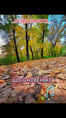 #НОВА#РЕКОМЕНДАЦІЇ#ОсіньЗолота#пісні#насолодаДЛЯовухТАочей🍁🍁🍁🎶музика