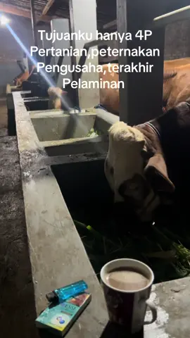 Bismillah 🤲🏼#peternakmuda #peternakmilenial #petanimuda #sobatngaret 