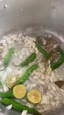 #احجي_براحتك_حيل_مانرد_علفطايس_💜😉 #dogsoftiktok #dog #duet 