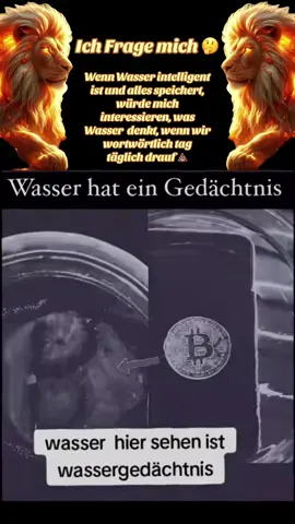 #erinnerung Die Zeitreisende, einst gelebt, aber auf dieser Welt fremd gefühlt … … wir sind jene, die wieder auferstanden sind … wir sind die jene, die eine Maske, mit einer falschen Identität getragen haben … … wir sind jene, die vergaßen, aufgaben und mit neuer Kraft wieder hervorkamen … … wir sind jene, die den Schmerz der Welt und Ahnen gespürt haben, jene die es transformiert in Vergebung und Dankbarkeit 🙏… … wir sind jene, die das Goldene Zeitalter schon ins jetzt geholt haben … mit unser Geduld … … mit unsere Liebe, mit unser Verständnis, mit unseren Energien, mit Wahrheiten… Nun freut euch, wir werden täglich mehr 💛💛💛☀️⚡️👑⚡️🌕💛💛💛 #Ich #duauch #👁️ #worldwide 