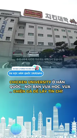 Ủa?? Ở Hàn có Đại học Gà thật luôn hả?? 😳 Học ở đây không phải Toán hay Văn đâu… mà là ướp gà, chiên gà, bán gà lấy tín chỉ luôn đó 😂 #duhocsamsung #duhochanquoc #chickenuniversity #hanquoc #tintuc 
