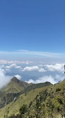 ♥️#mountain#merbabu#fyp 