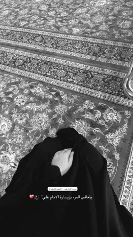 وما قيمة الحُب إن لم ينـتمي لـ علـي 💚. #الامام_علي_بن_أبي_طالب_؏ #مليون_مشاهدة❤ #اكسبلور_تيك_توك #ضريح_الامام_علي #النجف_الأشرف_مرقد_لامام_علي_ع_🌱🥀❤🌱 