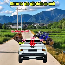 Cuộc Gặp Gỡ Tuyệt Vời #meme #catmeme 