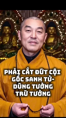 Khai Thị 15. Muốn vãng sanh phải cắt đứt cội gốc sinh Tử. Thầy Chân Hiếu Giảng #thichchanhieu #dieuamphapam #tinhdo #tayphuongcuclac #tosutinhdo 