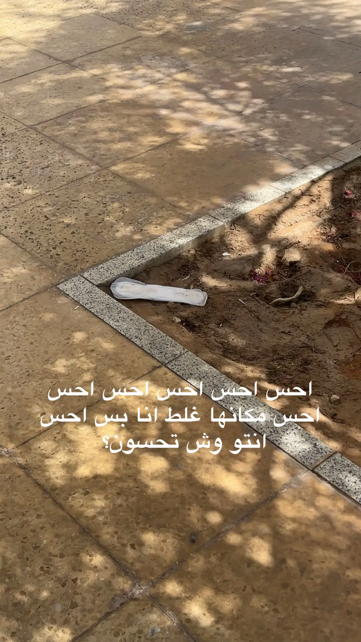 #pnu #explore #fyppppppppppppppppppppppp #ksu #امامو 