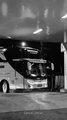 supernova🥶🤙🏼 @po.airlangga #airlanggatrans #airlangga  #sewabussidoarjo #fypage #dunganeumik 