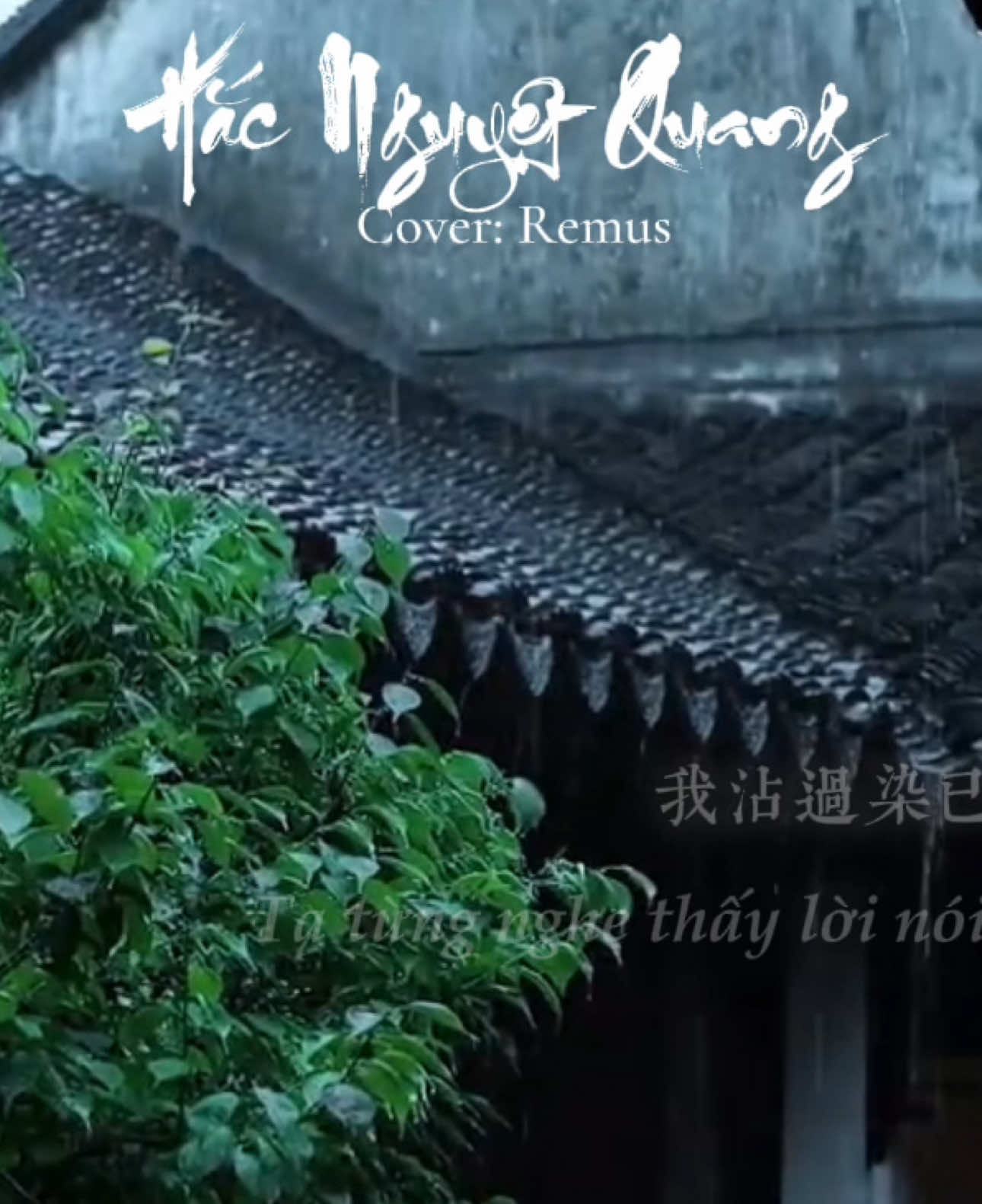 Hắc Nguyệt Quang (ost Trường Nguyệt Tẫn Minh) #nhactrung #covernhactrung #nhactamtrang 