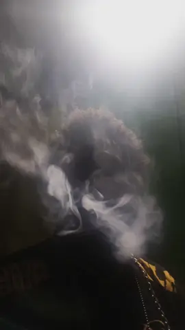 #fyppppppppppppppppppppppp  #humortiktok 