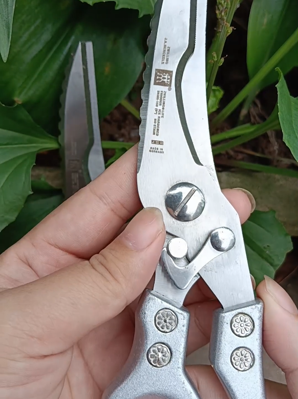 kéo hiệu zwilling Đức, hàng loại 1, thép không rỉ #keocatga #keocatgavit #dodungnhabep #HaMuoiGD @Hà Muối GD 