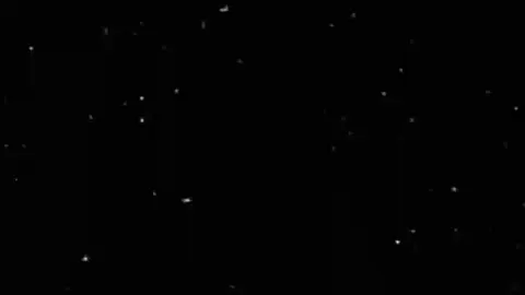 احزن شي#انمي #شعب_الصيني_ماله_حل😂😂 #ماالي_نفس_احط_هاشتاقات😭😂😂 #حزين #المصمم 