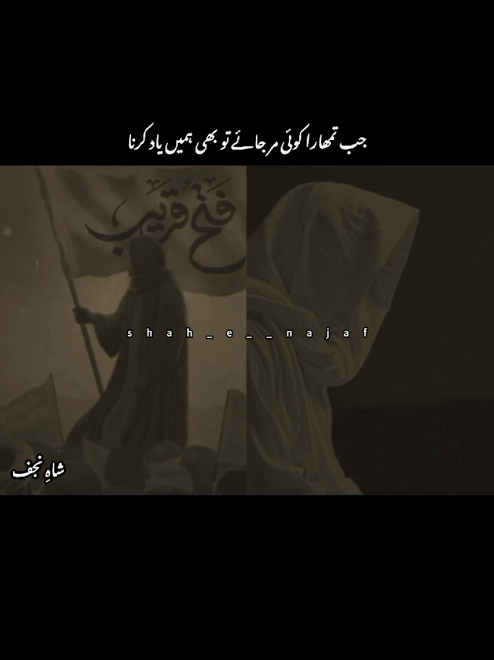 💫🌷#AM #shah_e__najaf #growmyaccount #foryoupageofficiall #goviral 