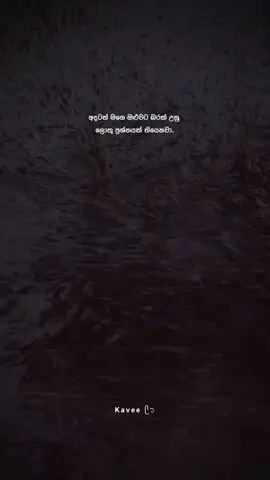 ❤️‍🩹🥀#bootstatussinhala #foryoupage #srilankan_tik_tok🇱🇰 #status @𝗦 𝗵 𝗘 𝗵 𝗔 × 🗣️🫀