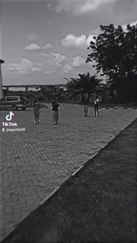 COURSE MATES☝🏼🥰 #coursemates  #computerscience  #departamento 