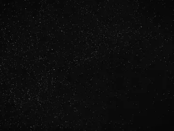 Animals edit?😲 | SONG NAME: MONTAGEM AMOSTRA #рек #фонк #музыка #phonk 