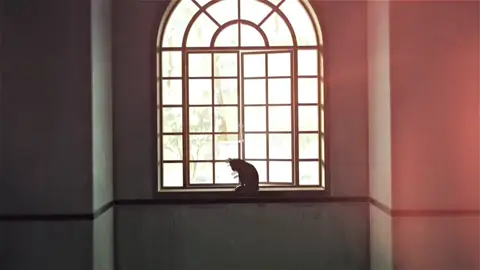 Share raw Jujutsu Kaisen #jujutsukaisen #viral #fyp #xh #🐧ziter_anime❄️ 