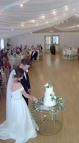 #bear #grizzlybear #weeding #boda #cake 