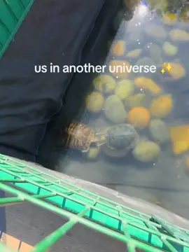 us in another uniserse ✨