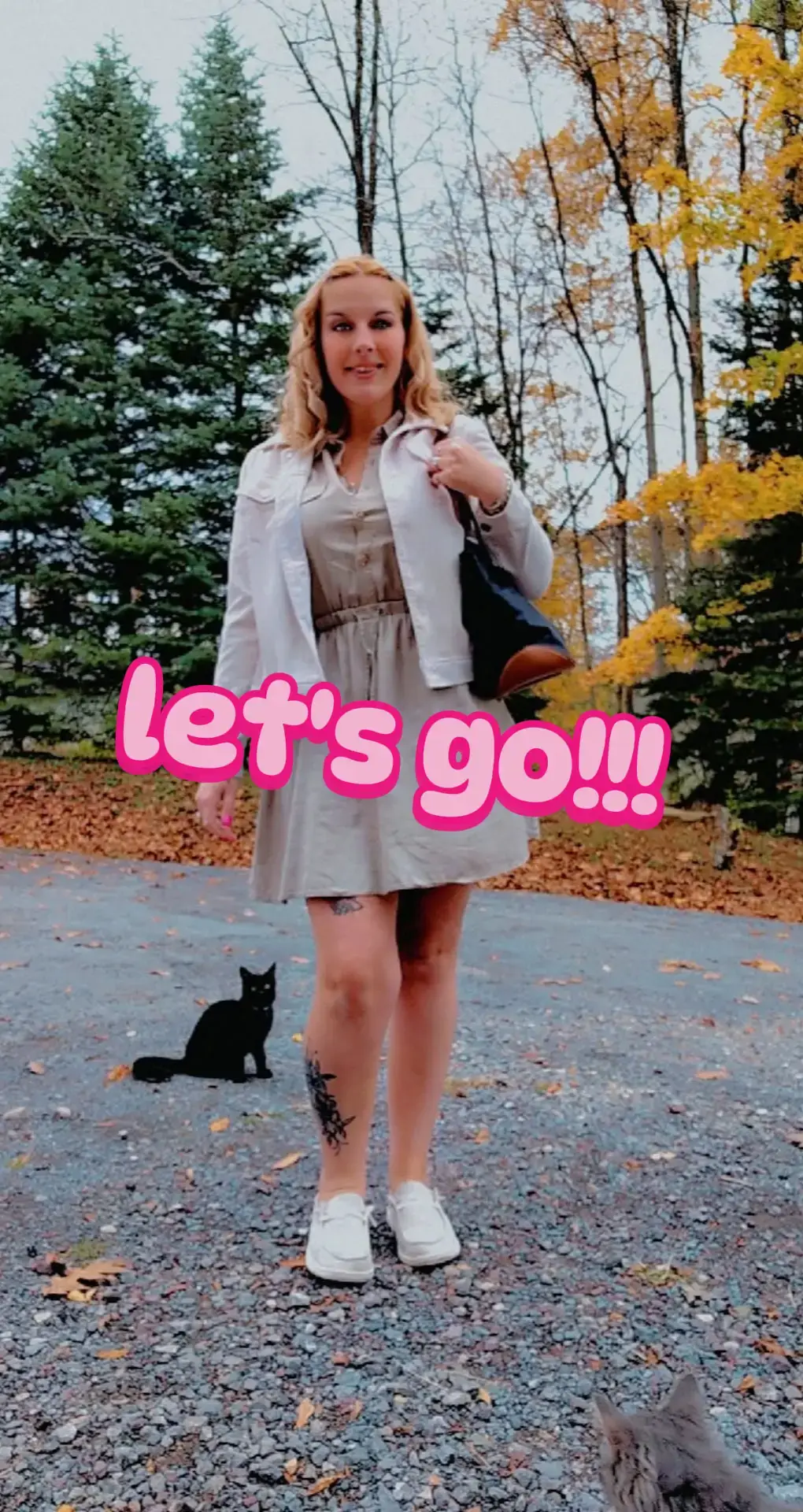 #letsgo #viral #trending 