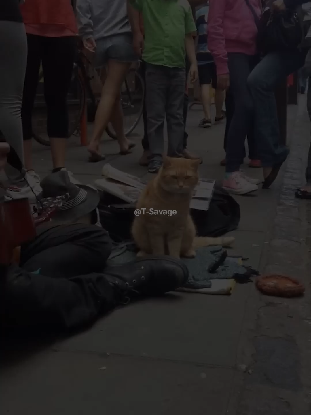 i walk this earth all by myself-EKKSTACY #fpy #fpyシviral #ฟีดดดシ #แปลไทย #EKKSTACY