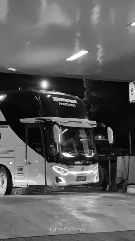 Night Vibes💦 @po.airlangga #fyppppppppppppppppppppppp #airlanggatrans #sewabussidoarjo #airlangga #dunganeumik 