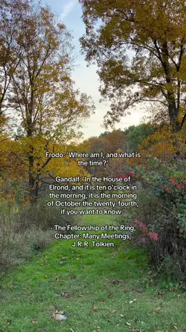 happy october 24th to all lord of the rings fans who celebrate #gandalf #frodobaggins #lordoftheringstok #tolkientok #lordoftherings 
