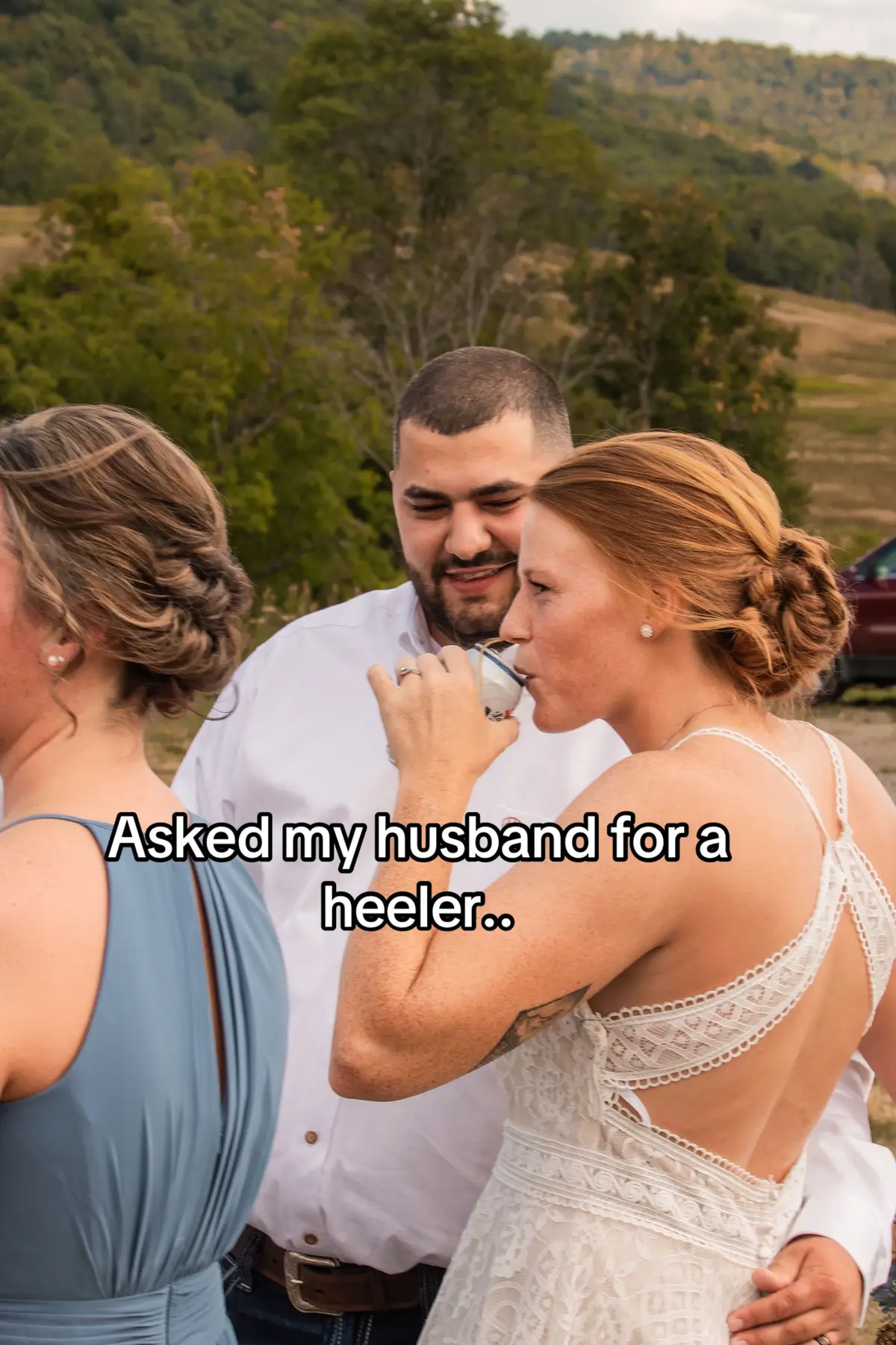 #heeler #cattledog #blueheeler #australiancattledog 