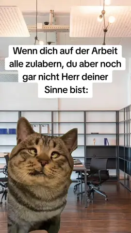 Sei einfach leise🤨 #viralvideos #worklife #for #fyp #relatabl 