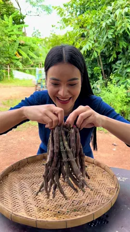 ม่องนี้หมู่บ้านแห่งนี้เพิ่นว่าแมงหามผีกินได้เด้อจ้า #แมงหามผี #แมงกะด้ามผี #แมลงขนาดใหญ่ #แมงหามผีกินได้ #ทอดแมงหามผี 