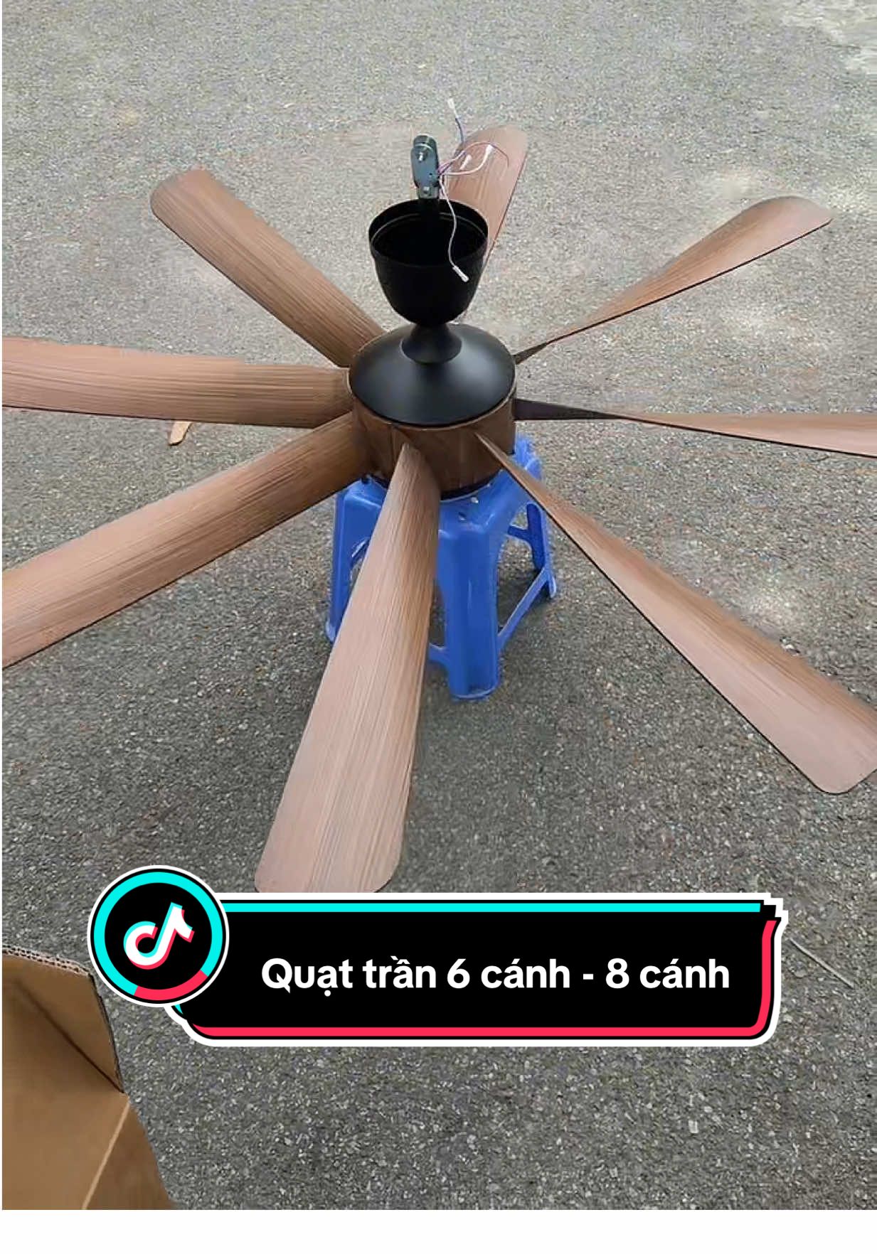 Quạt trần 6 cánh - 8 cánh zá zẻ 🪭#quattran #quatgiatot #viral #Tudenled #tongkhodenled #xuhuong #led #haiyendenled #sidenled 