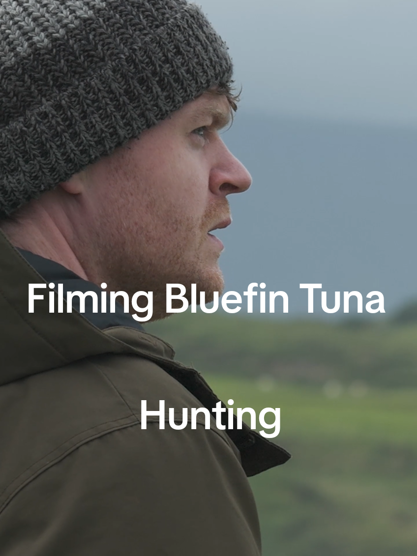 MASSIVE Bluefin Tuna right of our coast ! #natgeo #tiktokireland #bluefintuna 