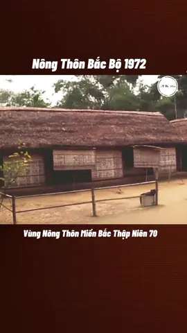 Vùng Nông Thôn Bắc Bộ 1972. Thời Kỳ Kháng Chiến.  #nongthonvietnam #nongthonbacbo #Kyucxua #quehuongvietnam #đamcuoixua 
