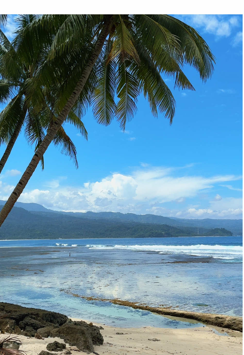 Menyatu dengan alam 🍃🍃🌴 #pesisirbarat #krui #kruipesisirbaratlampung #fypシ゚ #pantaikrui 