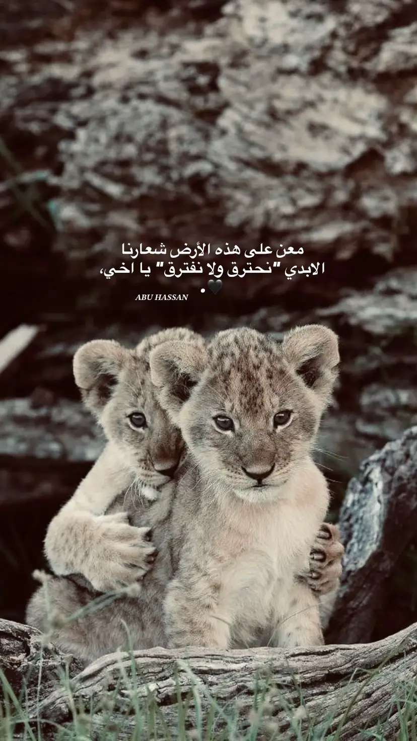 #عبارات #فوريو #اب_الحسن🖤📿 