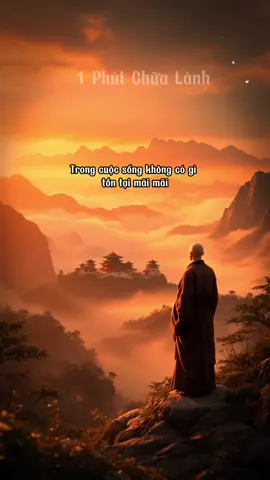 Không có gì tồn tại mãi mãi, kể cả nỗi khổ trong tim. Đau rồi cũng nguôi, khổ rồi cũng qua, chỉ cần giữ lòng tin – rằng mọi thứ đều là vô thường. Rồi một ngày, ta sẽ thấy… bình yên chưa từng rời đi, chỉ là ta quên mất cách tìm lại nó mà thôi. 🌿 Nam Mô A Di Đà Phật.🙏🏻 #1phutchữalành #pháttriểnbảnthân #chiêmnghiệm #tỉnhthức #bàihọccuộcsống 