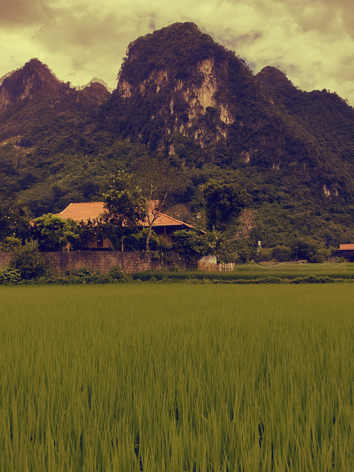# khi ông mặt trời đi ngủ !