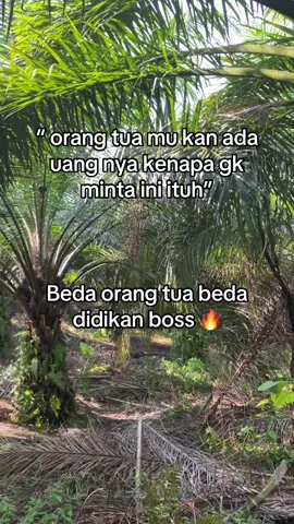 Beda orang tua beda didikan #petanisawit #bismillahfyp #lewatberanda #fyp 