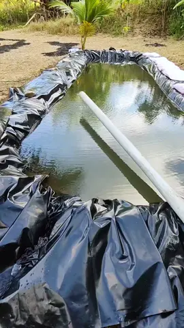 พลาสติกปูบ่อน้ำ ผ้ายางปูบ่อปลา  #ผ้ายางปูบ่อ #ผ้ายางปูบ่อปลา 