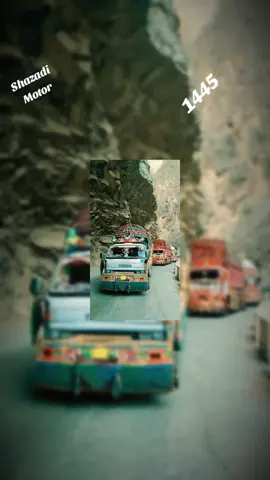 #foryou #foryoupage #mandialy🦁🦅 #viraltiktok #foryou @tayyabwarraich 