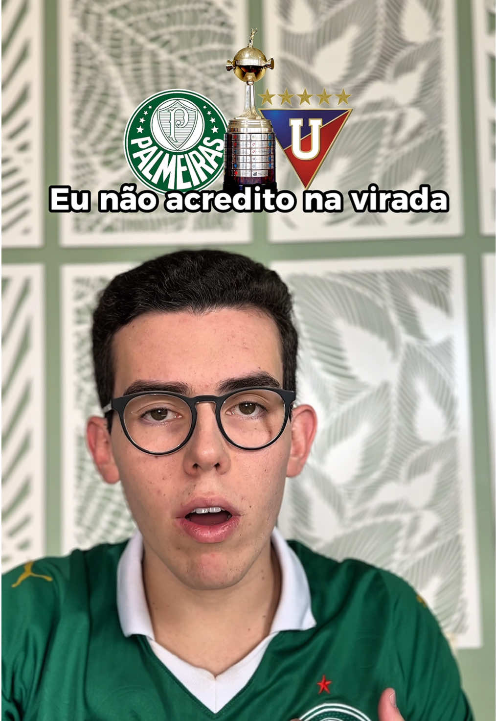 O “time da virada” sempre decepciona🤦🏻‍♂️ #palmeiras #libertadores #futebol #ldu #flamengo 
