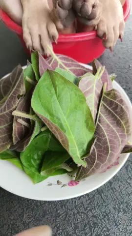nhìn cô ba ngon nuột nà hong 🤣🤣