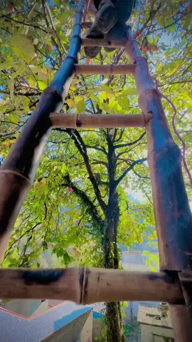 #foryoupagee #repost #trending #sound 